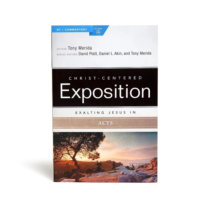 Exalting Jesus Acts