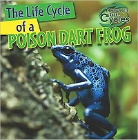 The Life Cycle of a Poison Dart Frog