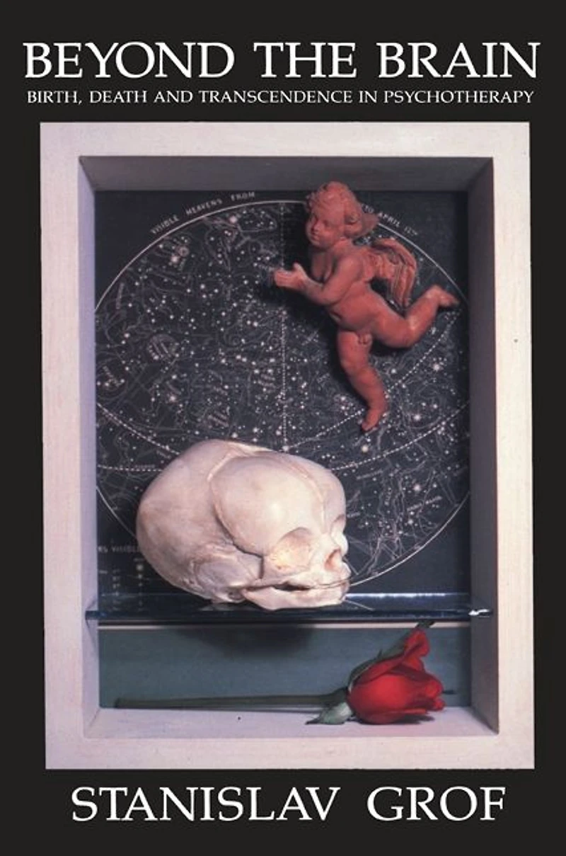 Beyond the Brain: Birth, Death, and Transcendence Psychotherapy