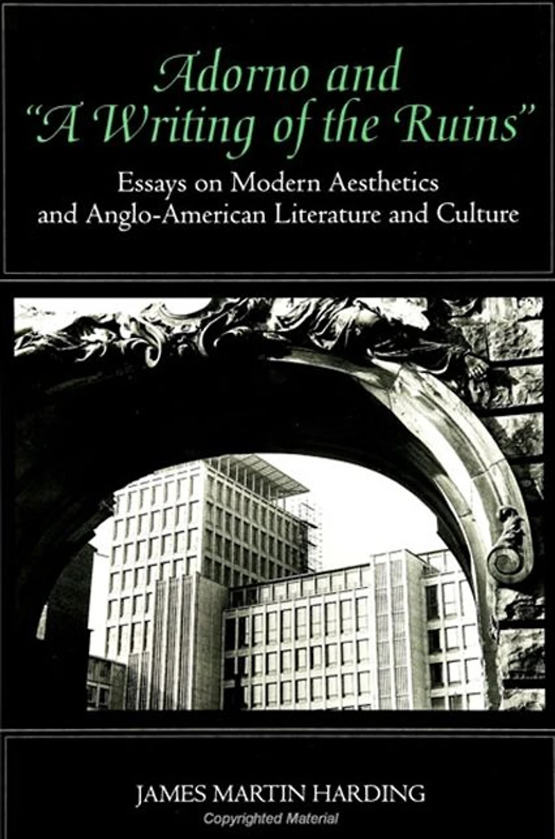 Adorno and "A Writing of the Ruins": Essays on Modern Aesthetics and Anglo-American Literature and Culture
