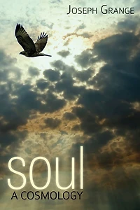 Soul: A Cosmology