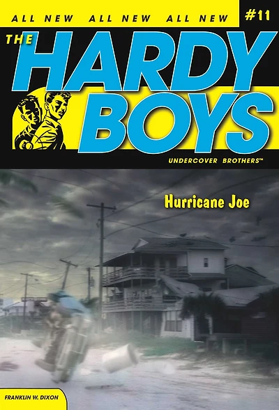 Hurricane Joe (Hardy Boys Undercover Brothers Series #11)