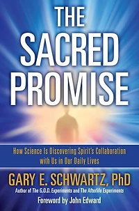 The Sacred Promise: How Science Is Discovering Spirit's Collaboration with Us Our Daily Lives