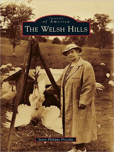 The Welsh Hills