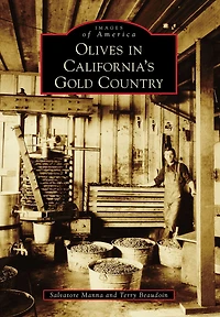 Olives California's Gold Country
