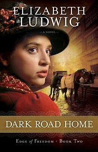 Dark Road Home