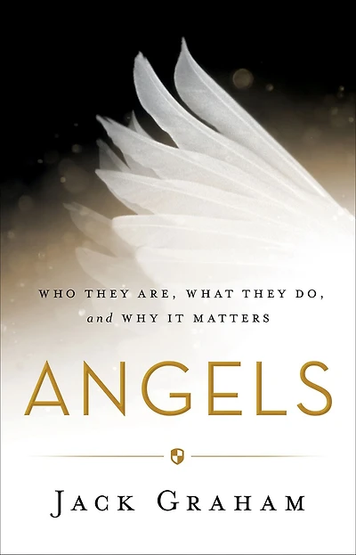 Angels: Who They Are, What Do, and Why It Matters
