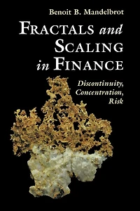Fractals and Scaling Finance: Discontinuity, Concentration, Risk. Selecta Volume E