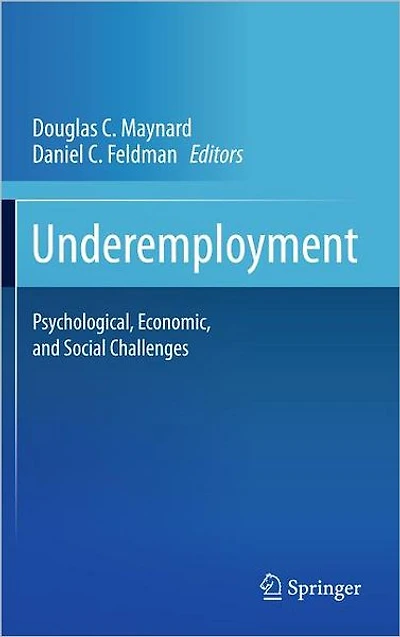 Underemployment: Psychological, Economic, and Social Challenges