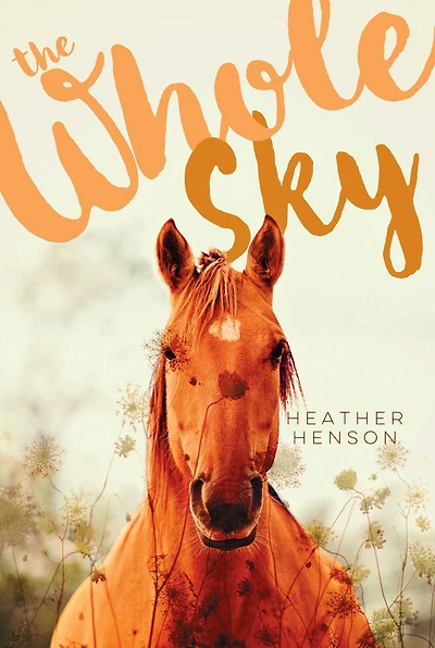 The Whole Sky