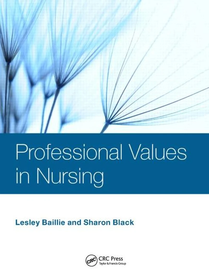 Professional Values Nursing