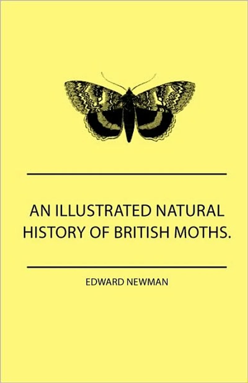 An Illustrated Natural History Of British Moths. With Life-Size Figures From Nature Each Species, And The More Striking Varieties - Also, Full Descriptions Both Perfect Insect Caterpillar, Together Dates Appearance, Local