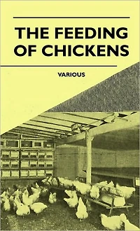 The Feeding of Chickens