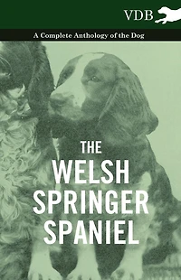 the Welsh Springer Spaniel - A Complete Anthology of Dog