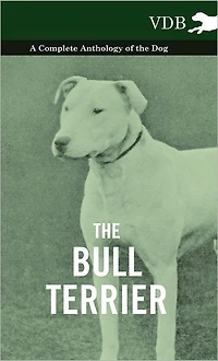 the Bull Terrier - A Complete Anthology of Dog