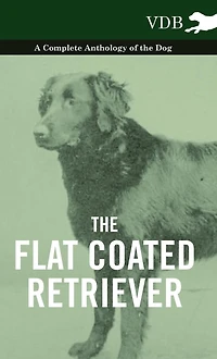 the Flat Coated Retriever - A Complete Anthology of Dog