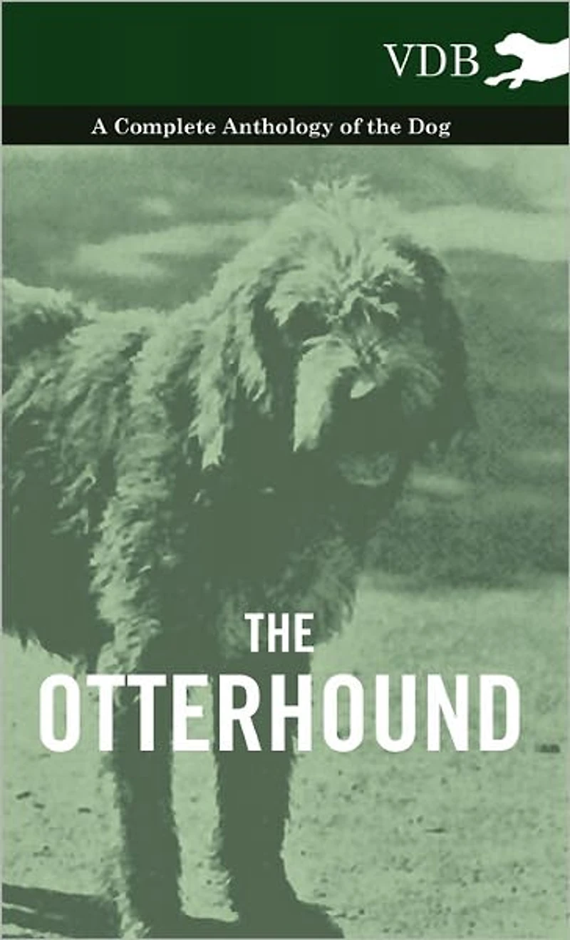 the Otterhound - A Complete Anthology of Dog
