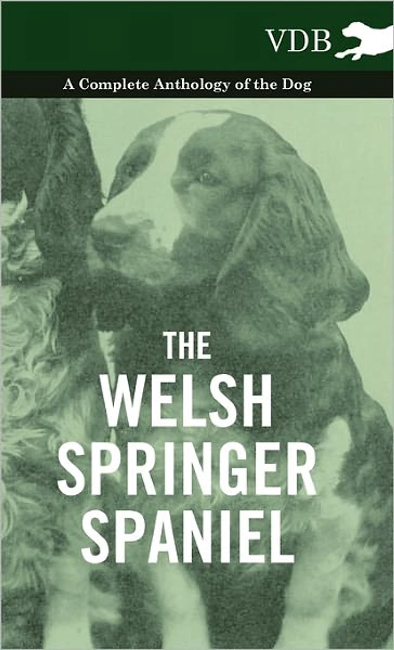 the Welsh Springer Spaniel - A Complete Anthology of Dog