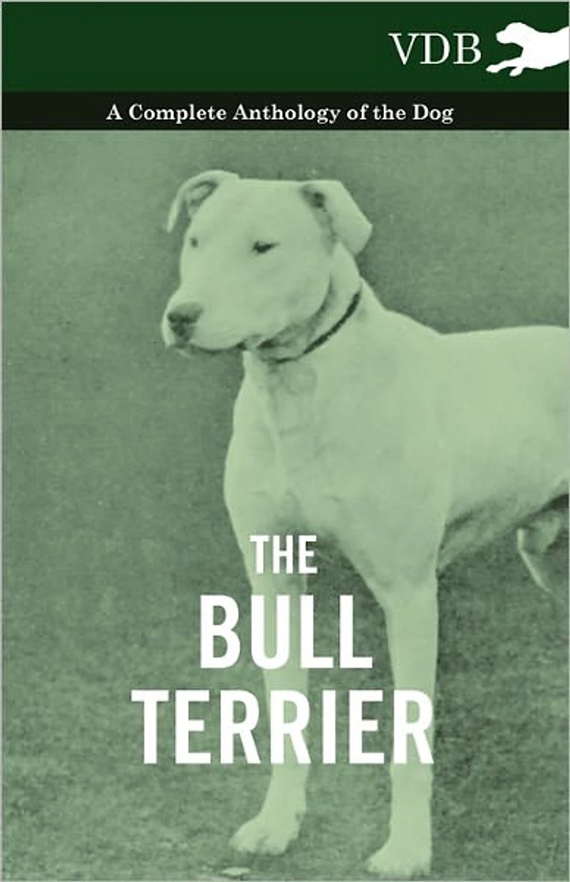 the Bull Terrier - A Complete Anthology of Dog