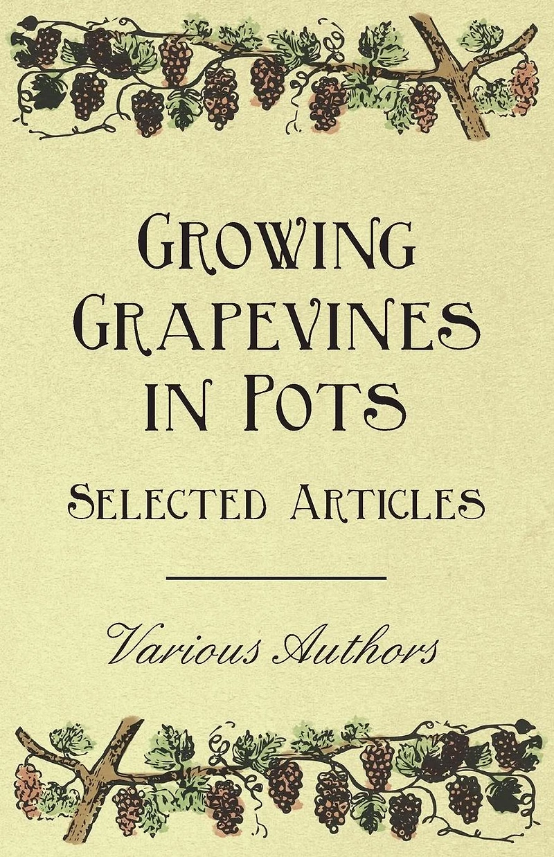 Growing Grapevines Pots - Selected Articles
