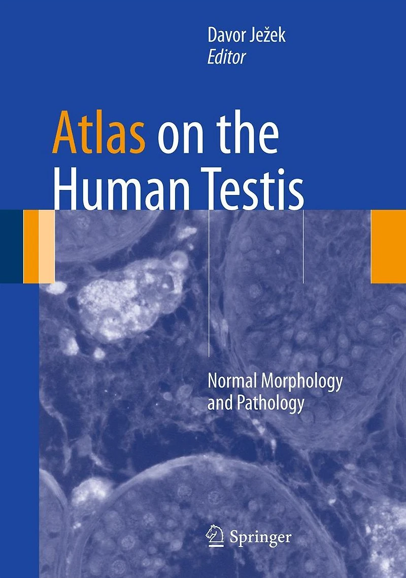 Atlas on the Human Testis: Normal Morphology and Pathology