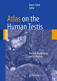 Atlas on the Human Testis: Normal Morphology and Pathology
