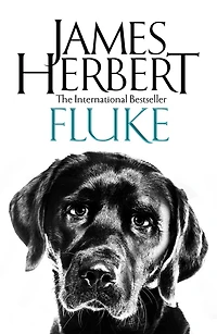 Fluke (Abridged)