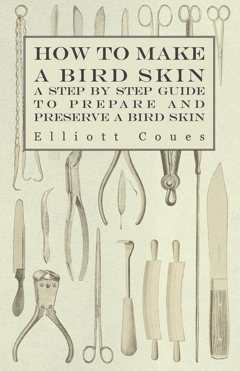 How to Make a Bird Skin - Step by Guide Prepare and Preserve