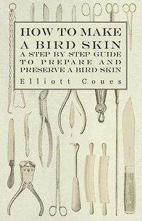 How to Make a Bird Skin - Step by Guide Prepare and Preserve