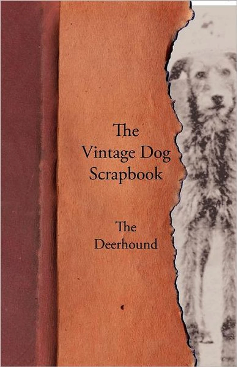 The Vintage Dog Scrapbook - Deerhound