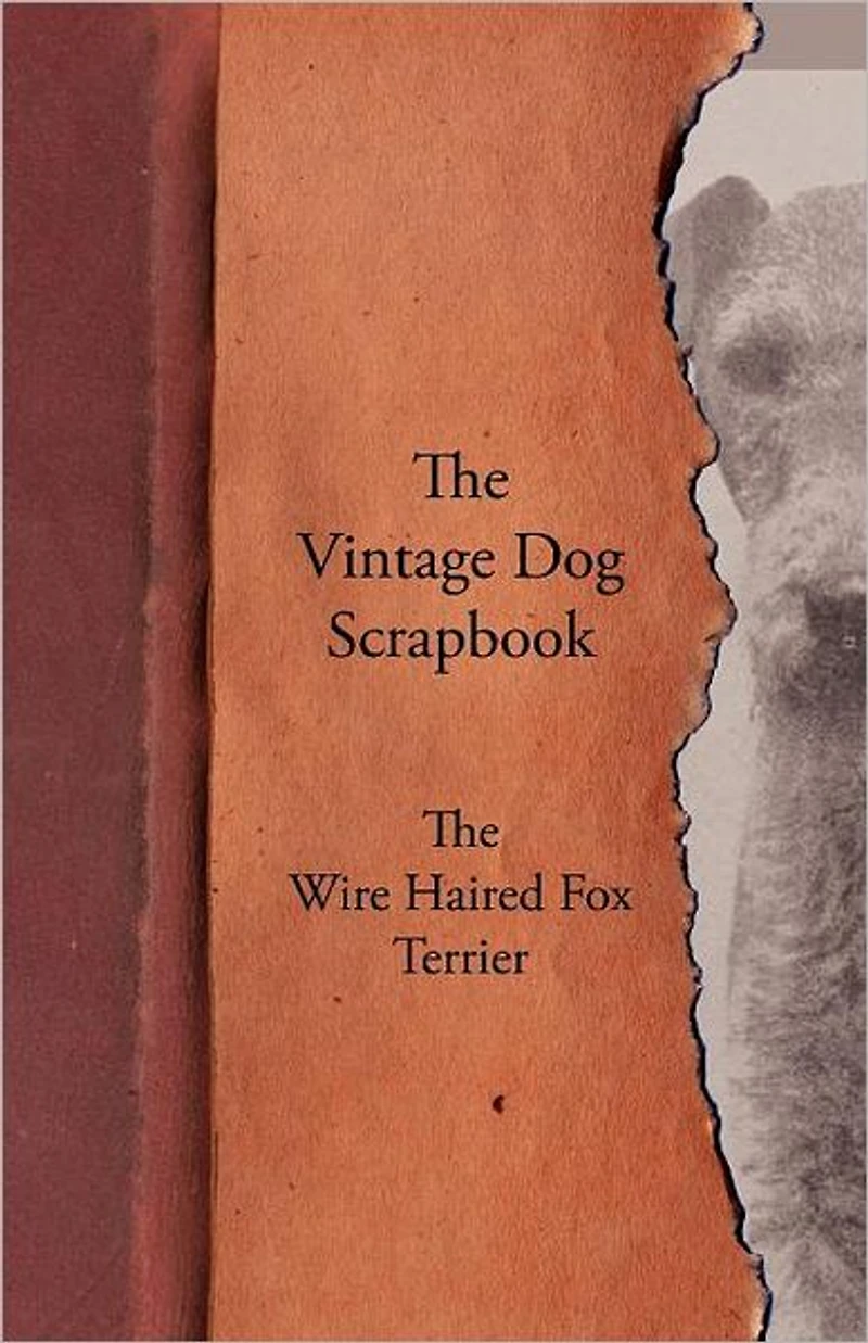 The Vintage Dog Scrapbook - Wire Haired Fox Terrier