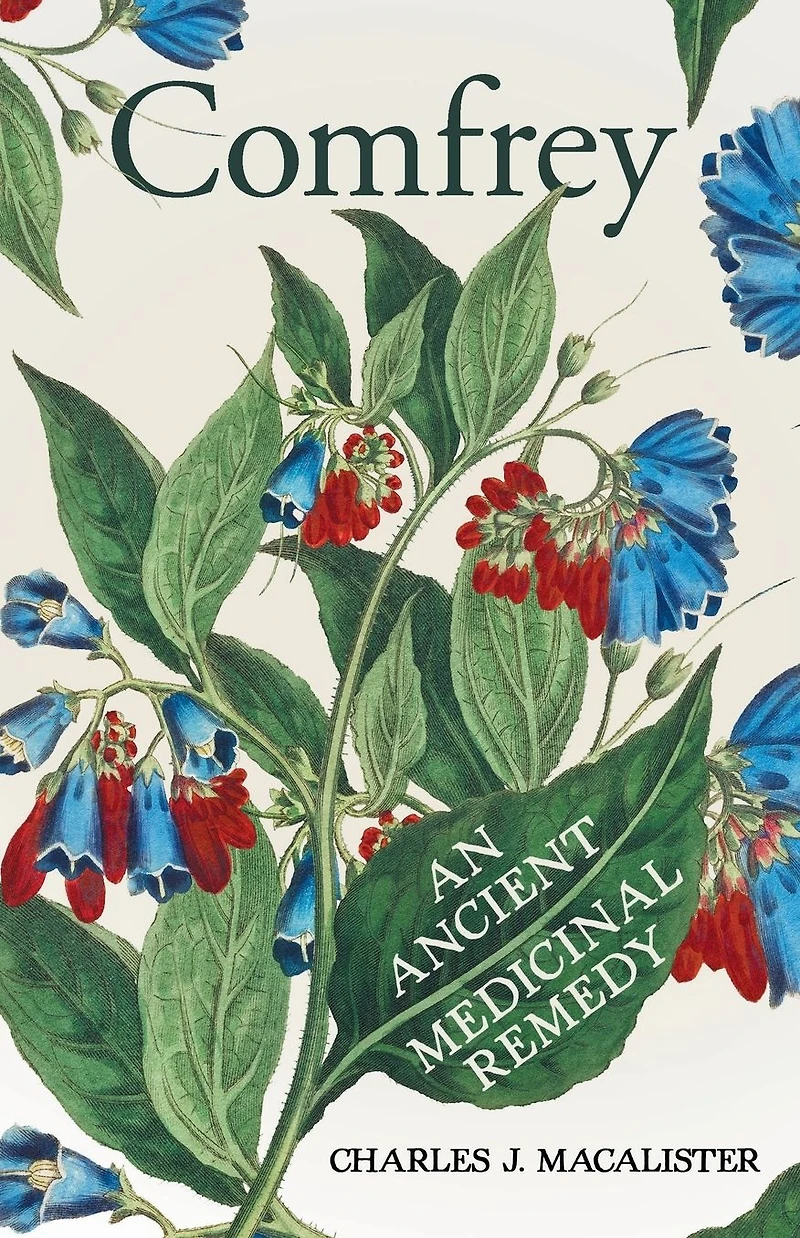 Comfrey - An Ancient Medicinal Remedy