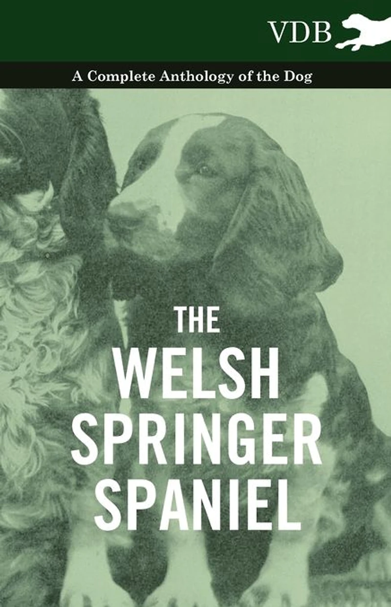 the Welsh Springer Spaniel - A Complete Anthology of Dog