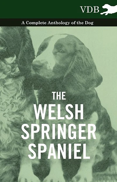 the Welsh Springer Spaniel - A Complete Anthology of Dog