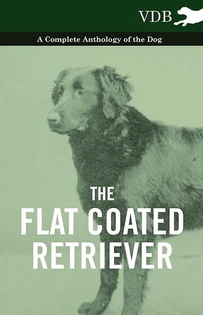 the Flat Coated Retriever - A Complete Anthology of Dog