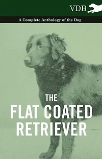 the Flat Coated Retriever - A Complete Anthology of Dog