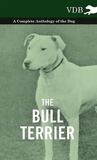 the Bull Terrier - A Complete Anthology of Dog