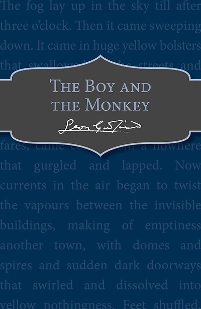 The Boy and the Monkey