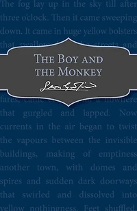 The Boy and the Monkey