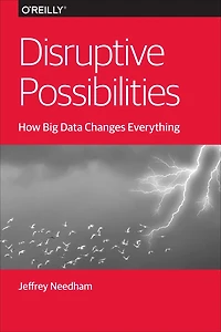 Disruptive Possibilities: How Big Data Changes Everything