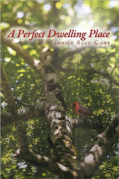 A Perfect Dwelling Place