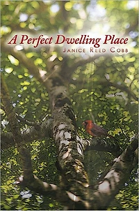 A Perfect Dwelling Place