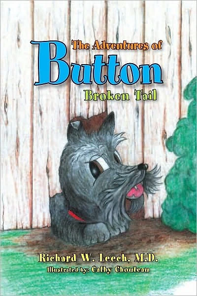 The Adventures of Button: Broken Tail