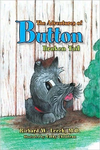 The Adventures of Button: Broken Tail