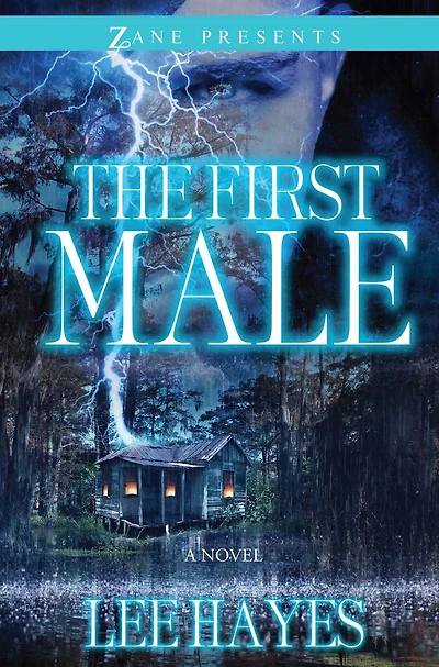 The First Male: A Novel