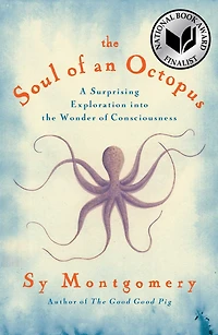 the Soul of an Octopus: A Surprising Exploration into Wonder Consciousness