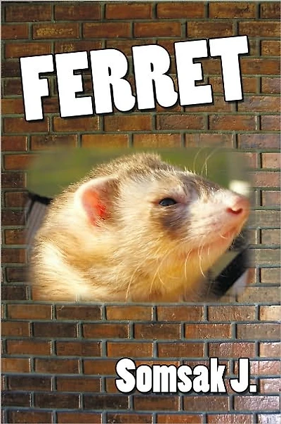 Ferret