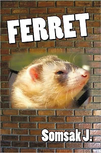 Ferret