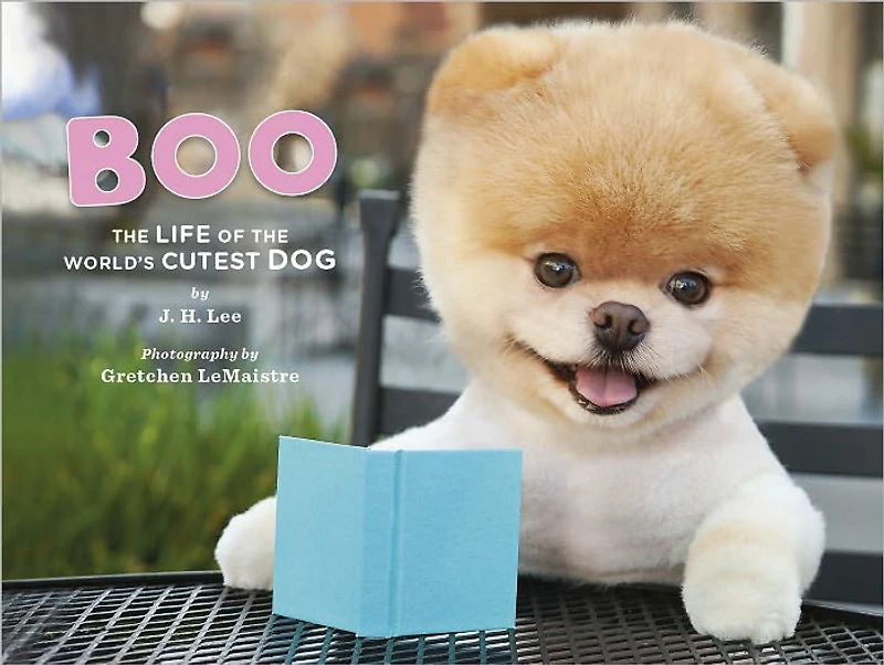 Boo: the Life of World's Cutest Dog