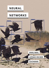 Neural Networks